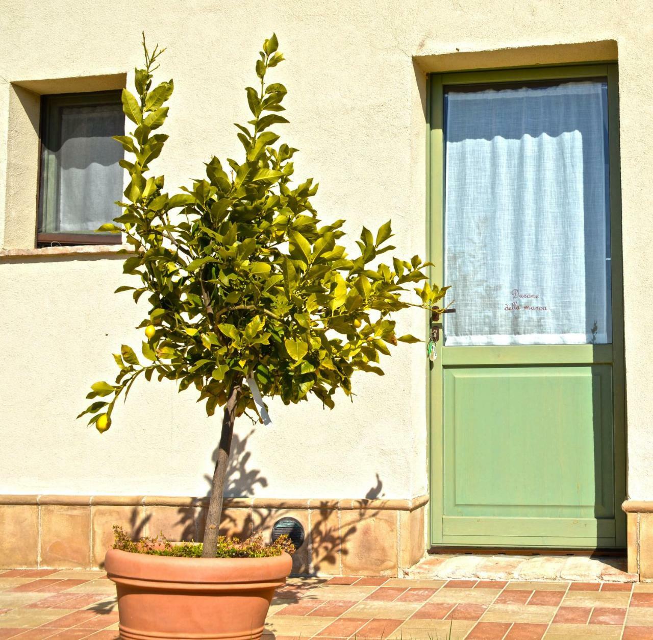 לורטו B&B Ceresa - Country House מראה חיצוני תמונה